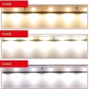 Taśma LED 12V 5m neutralna biel 24W IP20 4000K [13190000394]